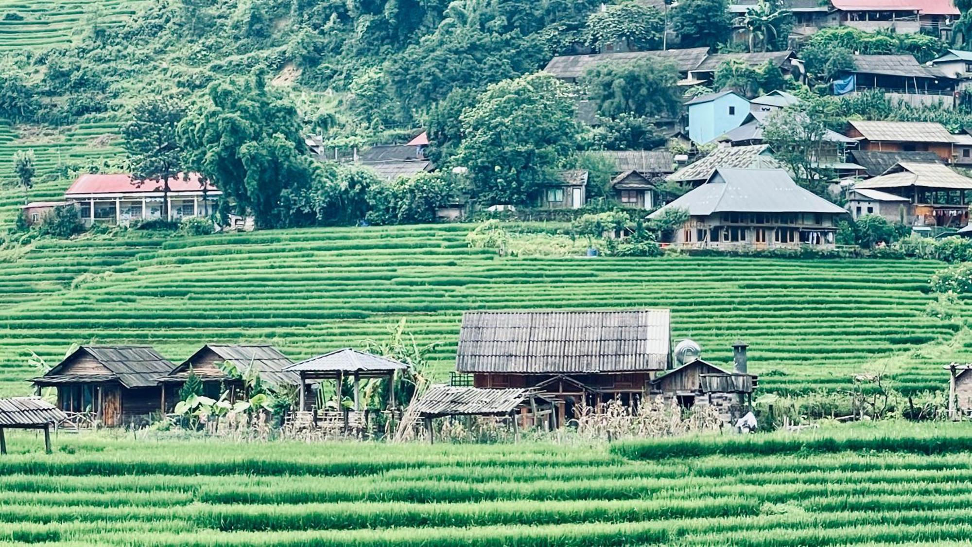 Eco Rice Fields House Hostel Сапа Екстериор снимка
